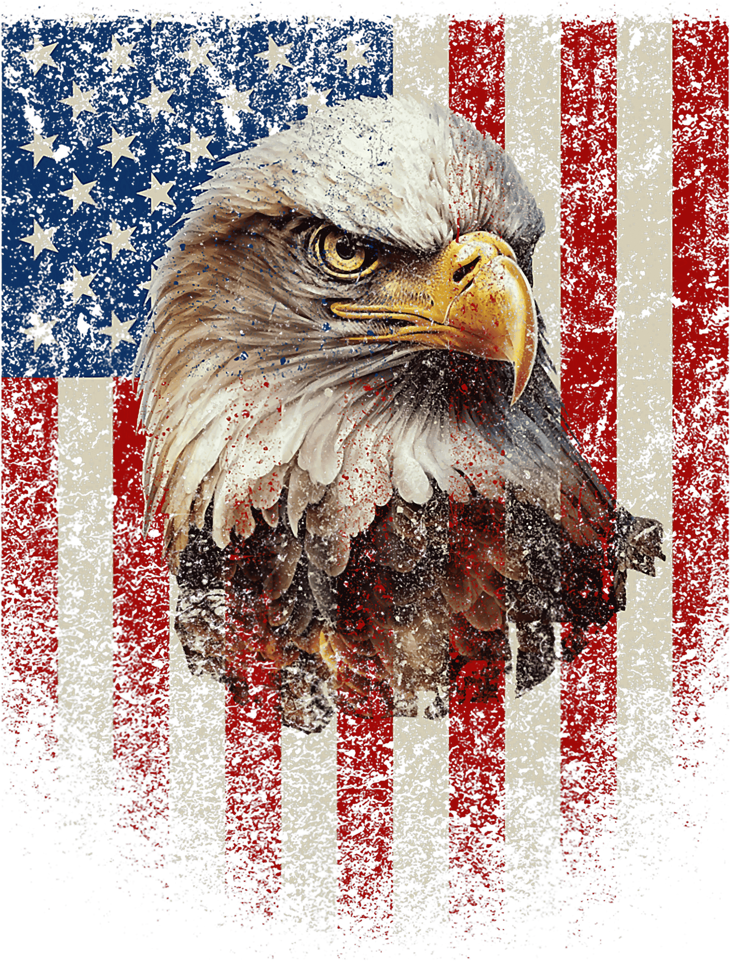 VETERANS #12