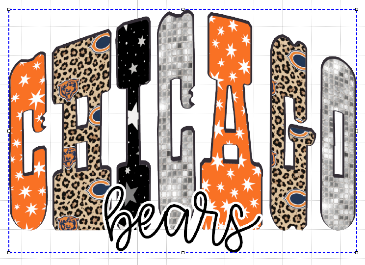 CHICAGO BEARS #5