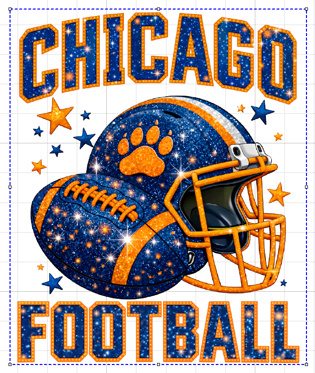 CHICAGO BEARS #7