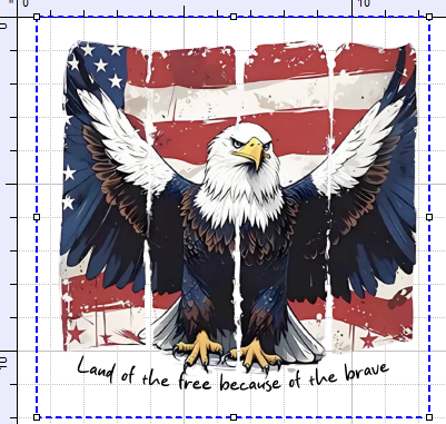 LAND OF THE FREE EAGLE