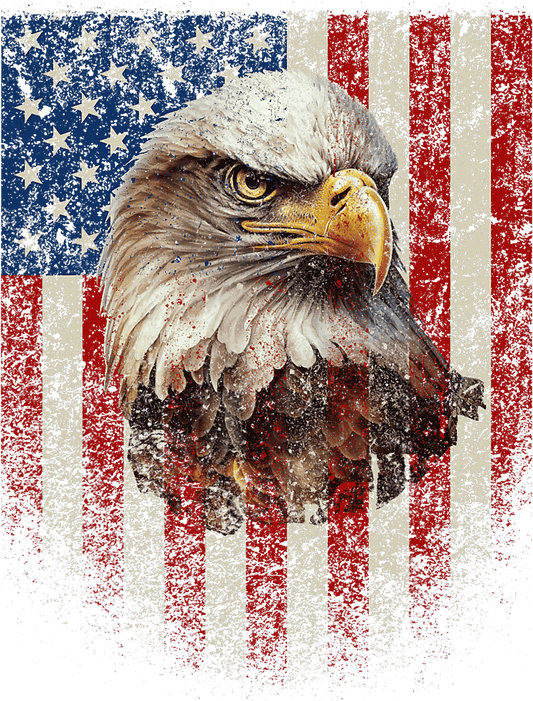 VETERANS #12