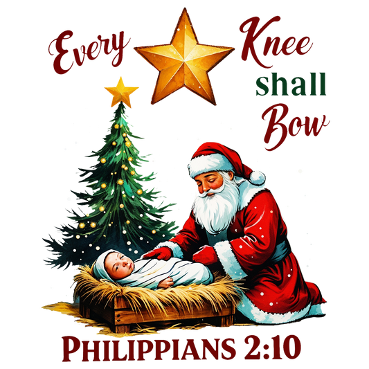 SANTA WITH MANGER