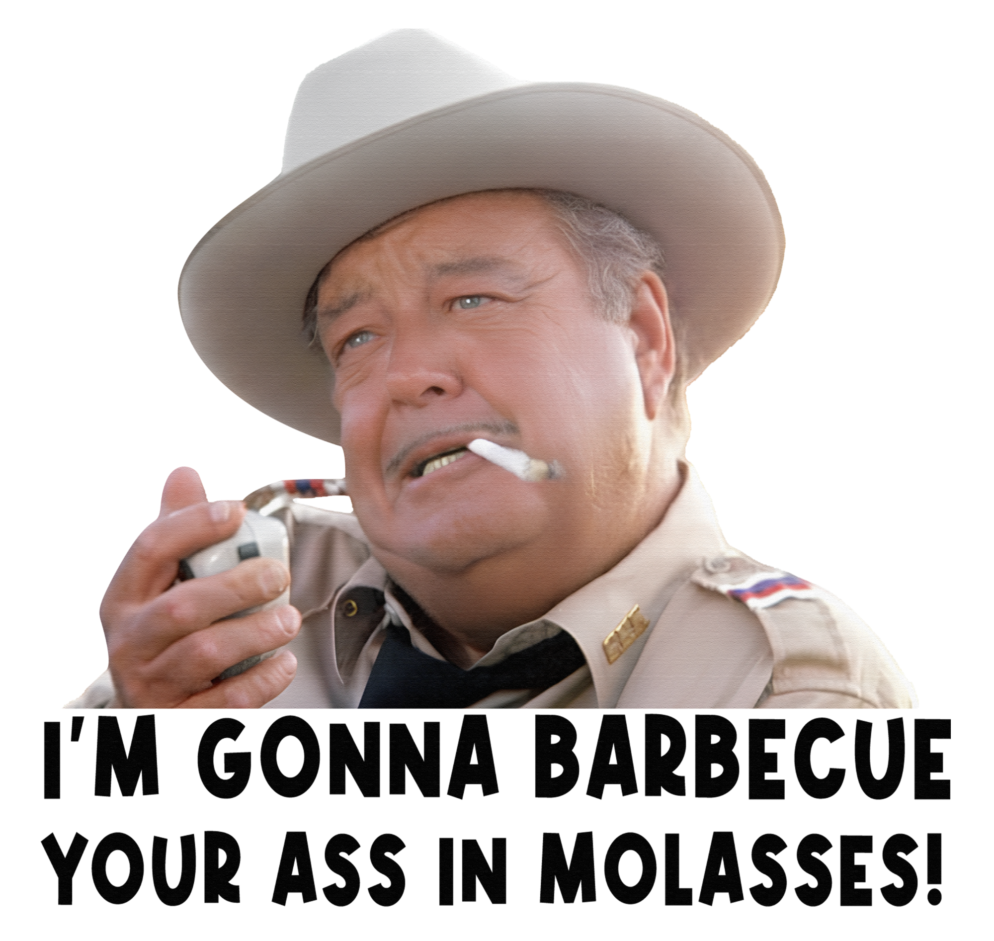 SHERIFF BUFORT T JUSTICE #2