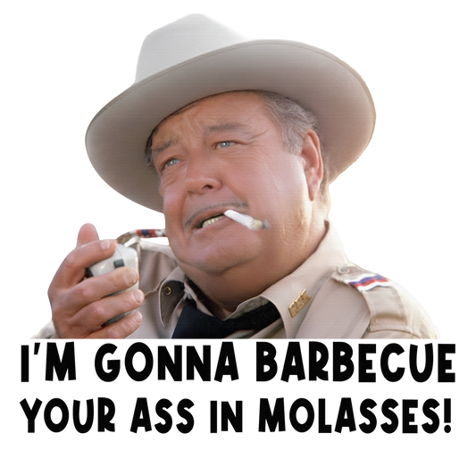 SHERIFF BUFORT T JUSTICE #2