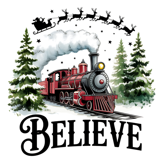 POLAR EXPRESS BELIEVE