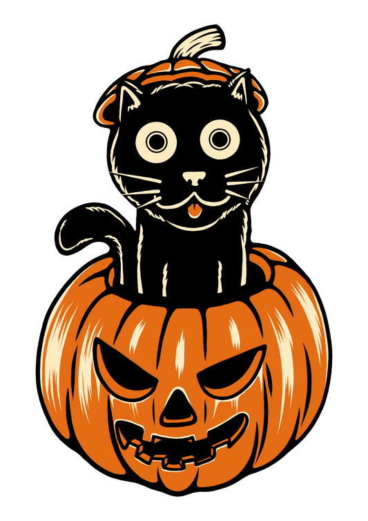CAT IN A PUMPKIN