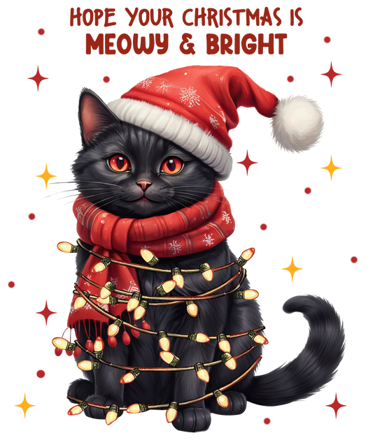 MEOWY AND BRIGHT