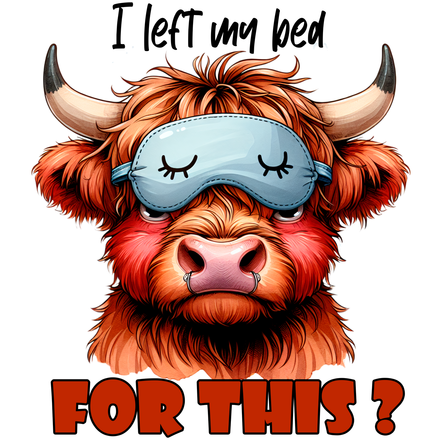 HIGHLAND COWS #79