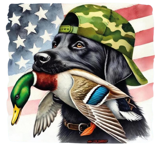 DOGS AND DUCKS