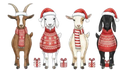 CHRISTMAS GOATS