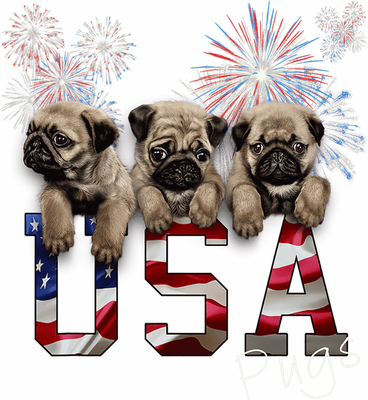 RED WHITE AND BLUE #100