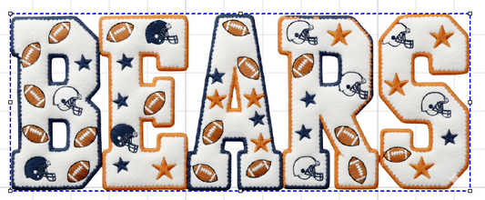 CHICAGO BEARS #2