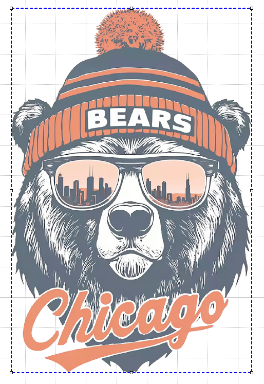 CHICAGO BEARS #4