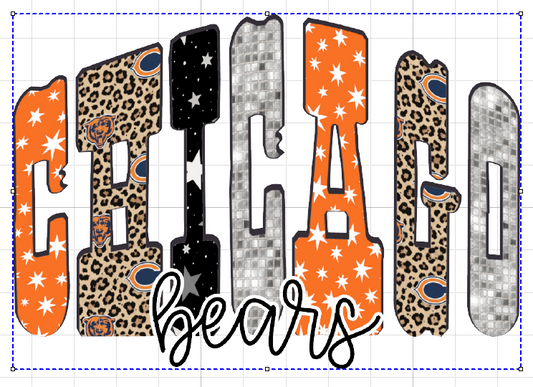 CHICAGO BEARS #5