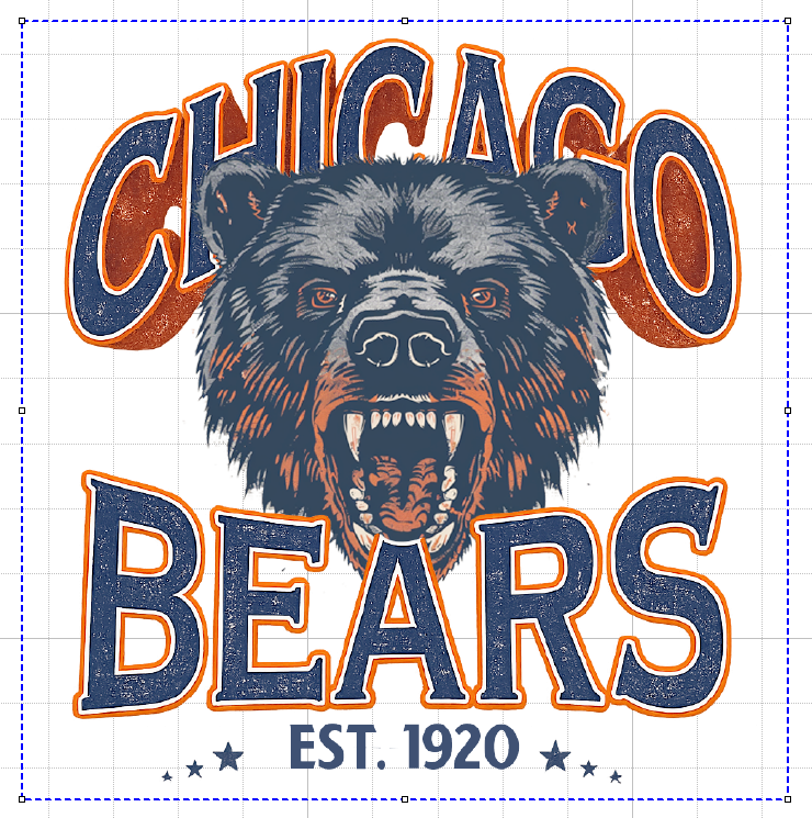 CHICAGO BEARS #6