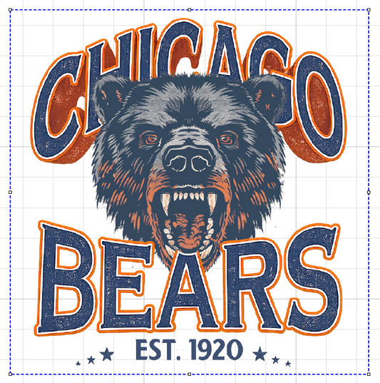CHICAGO BEARS #6