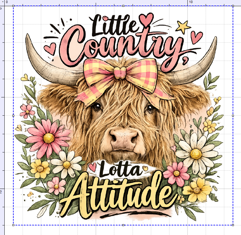 LITTLE COUNTRY LOTTA ATTITUDE