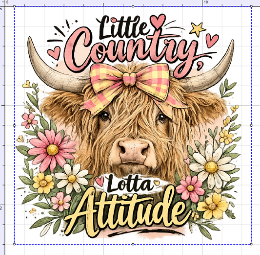 LITTLE COUNTRY LOTTA ATTITUDE