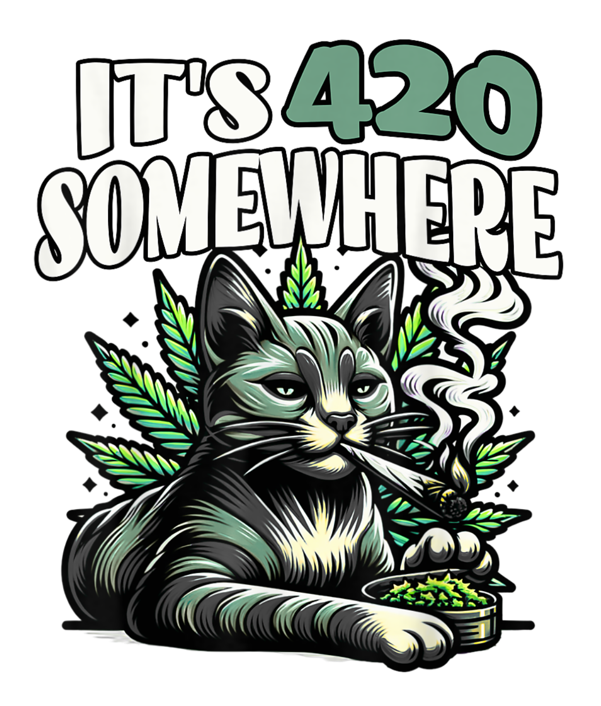 ITS 420 SOMEWHERE
