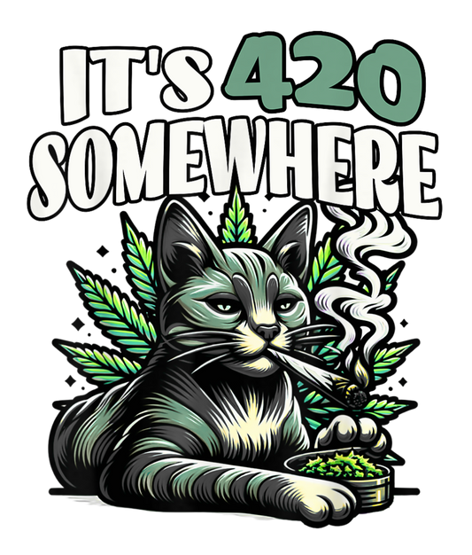 ITS 420 SOMEWHERE
