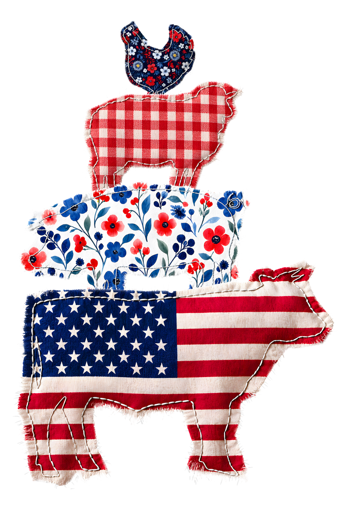RED WHITE AND BLUE #118