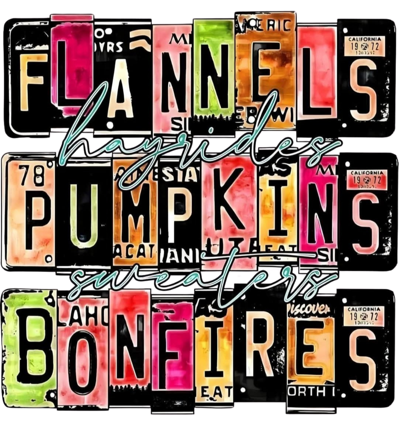 FLANNELS PUMPKINS BONFIRES LICENSE PLATE STYLE