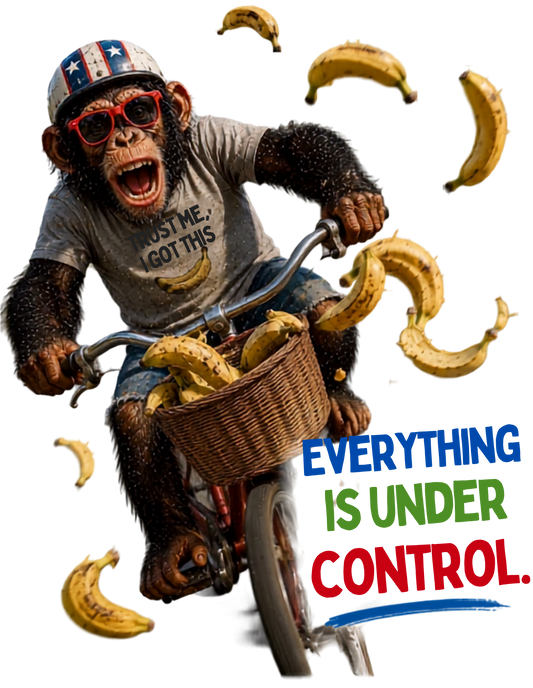 EVERYTHING IS UNDER CONTROL