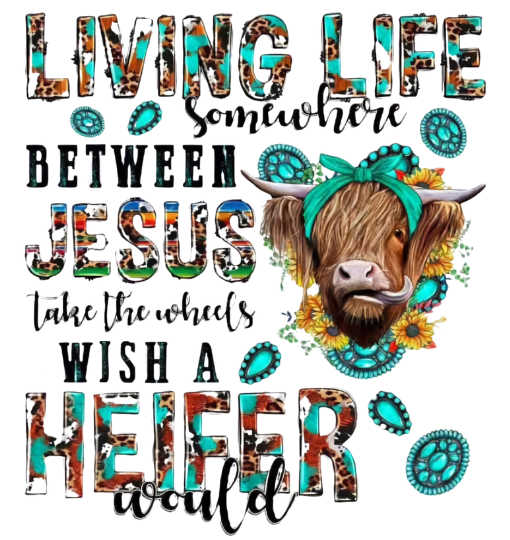 HIGHLAND COWS #44