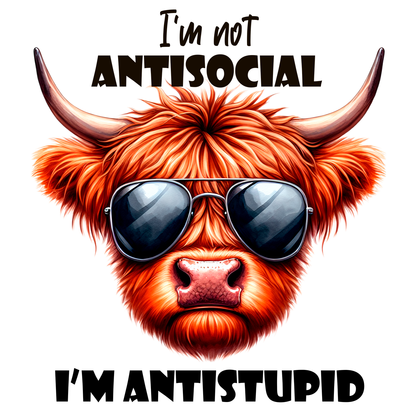 HIGHLAND COWS #42