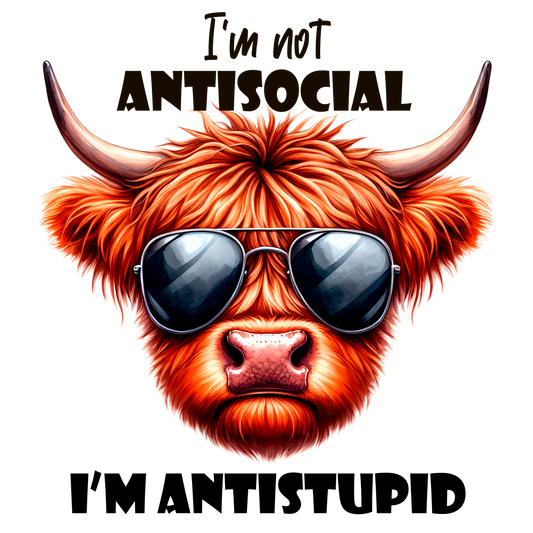 HIGHLAND COWS #42