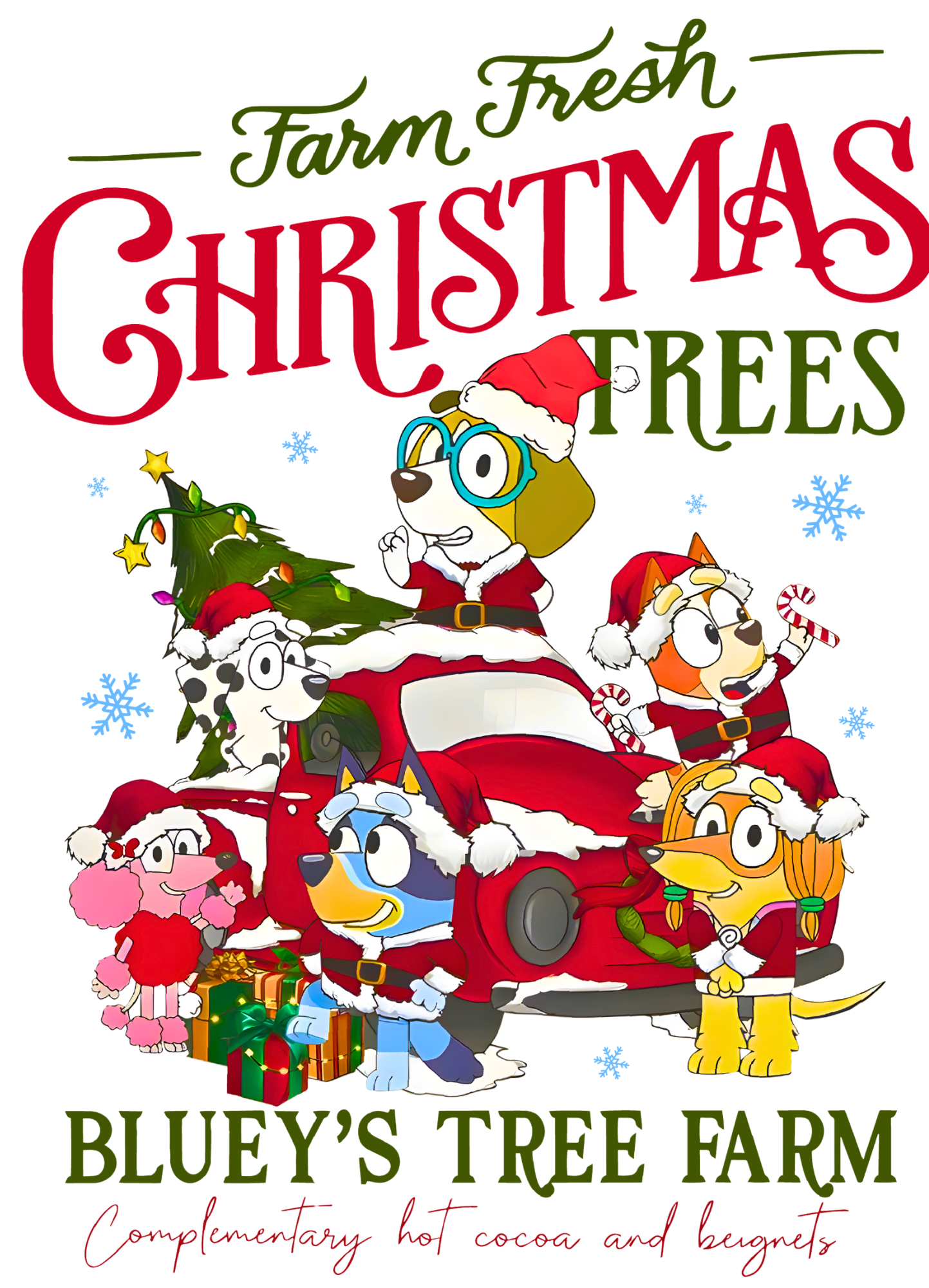 BLUEYS CHRISTMAS TREE FARM