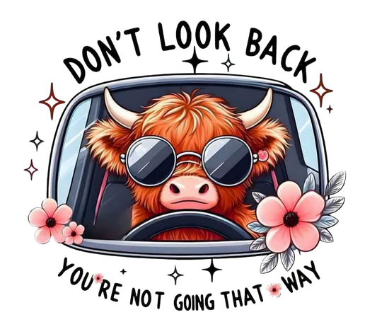 HIGHLAND COWS #88