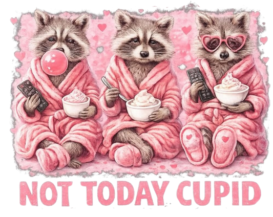 VALENTINES DAY #165