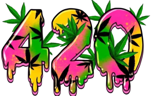 NEON PINK AND YELLOW 420