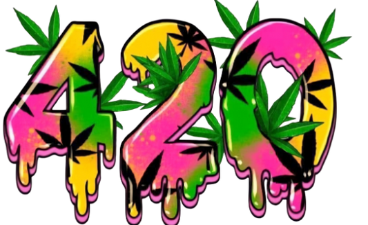 NEON PINK AND YELLOW 420